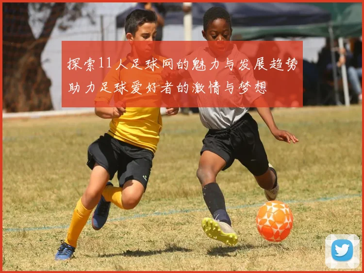 探索11人足球网的魅力与发展趋势助力足球爱好者的激情与梦想