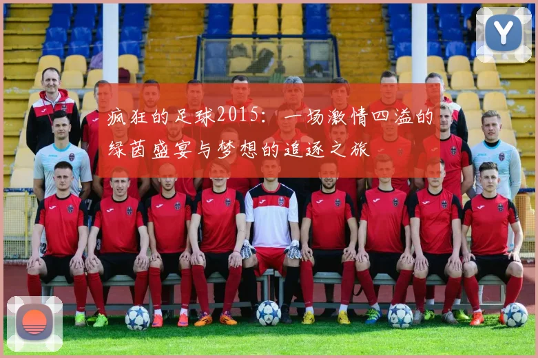 疯狂的足球2015：一场激情四溢的绿茵盛宴与梦想的追逐之旅