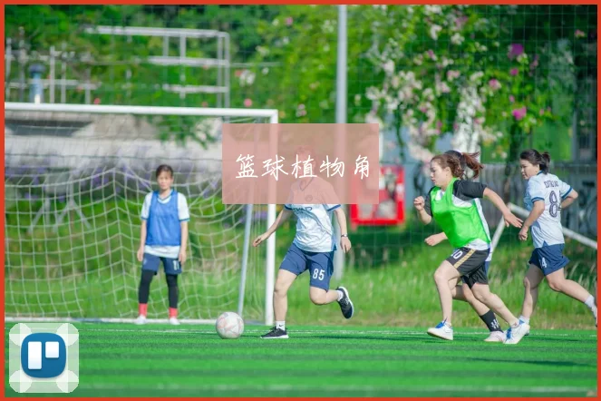 篮球植物角