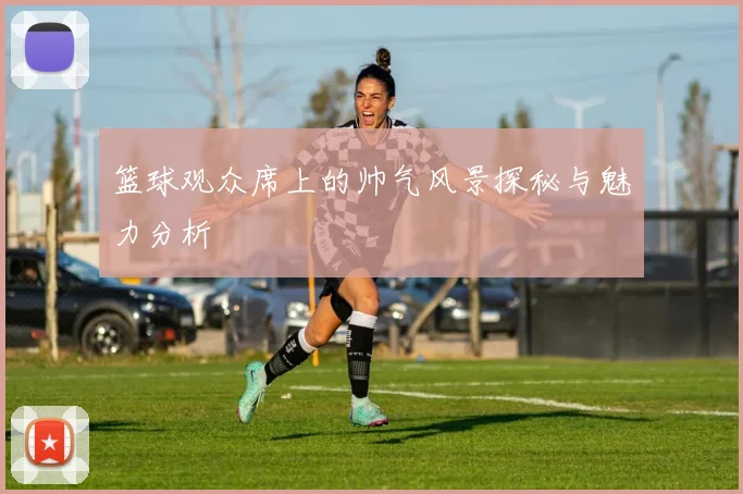 篮球观众席上的帅气风景探秘与魅力分析