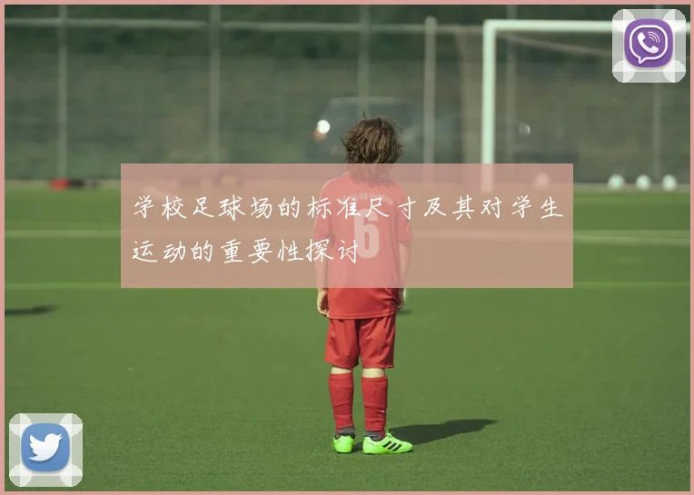 学校足球场的标准尺寸及其对学生运动的重要性探讨
