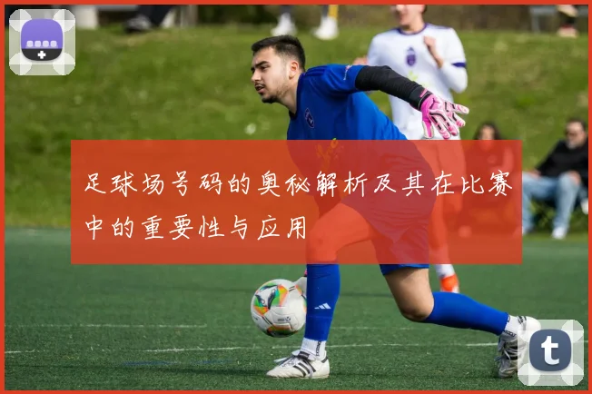 足球场号码的奥秘解析及其在比赛中的重要性与应用