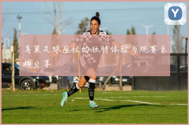 鸟巢足球座位的独特体验与观赛乐趣分享