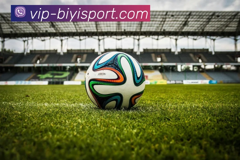 B体育APP 封面图